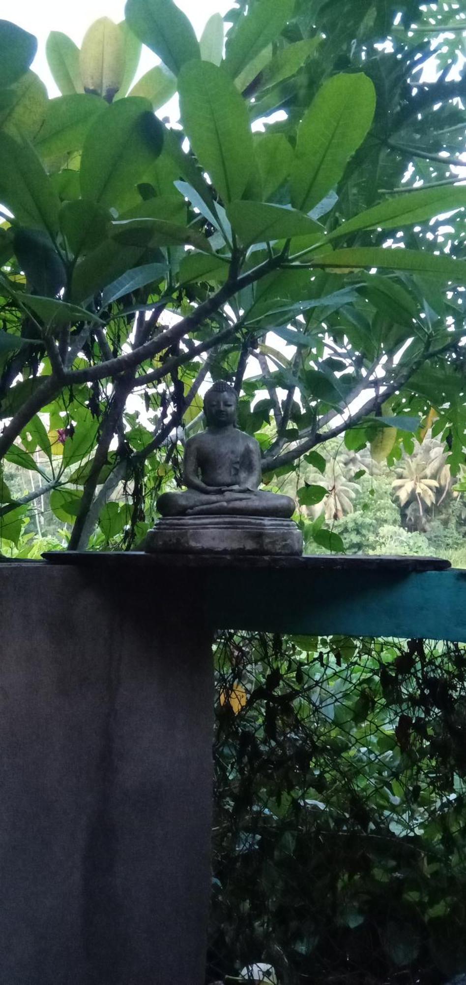 Jungle House Apartment Unawatuna Ngoại thất bức ảnh